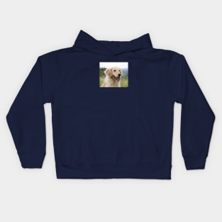 Golden Retriever Dog Kids Hoodie